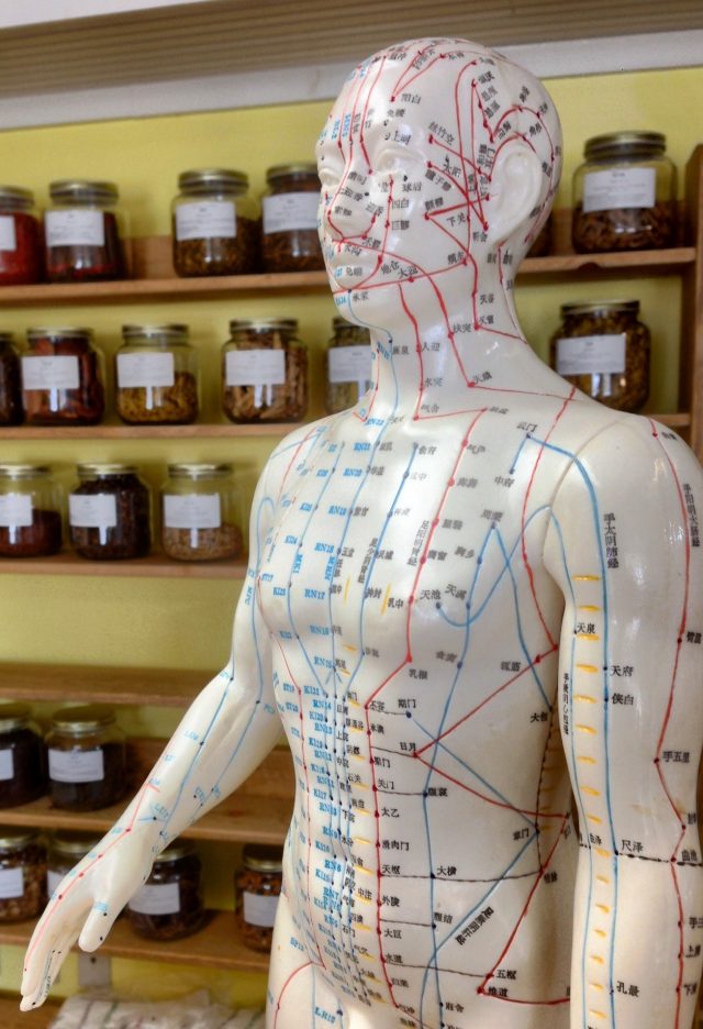 Acupuncture Treatment in West LA