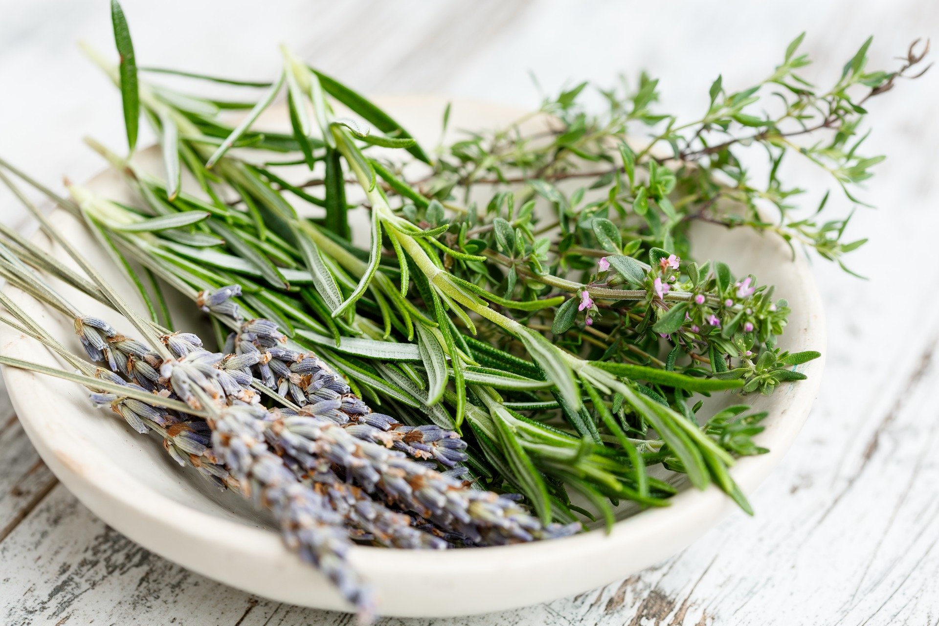 Herbal Tea, Herbal Medicine and Herbal Therapy in West LA and San Pedro